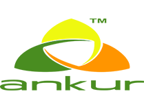 Marka 1